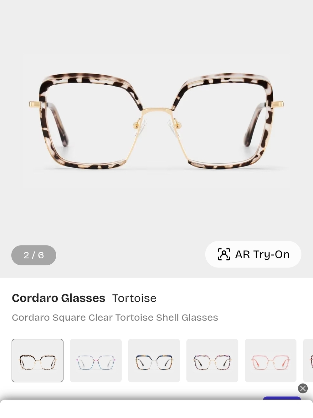 Cordaro Square Tortoise Shell Glasses